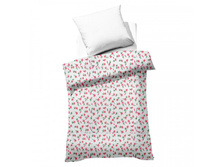 ������� ������ �����������.jpg