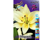 33,94���. ����� ������(�������� ���� �� 5 ��., ����������� ����� 1��.).jpg