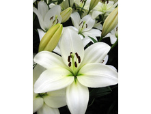 22,76���. ����� ���� �����(�������� ���� �� 7 ��., ����������� ����� 1��.).jpg