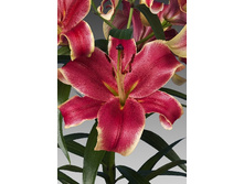 26,21���. ����� ������� �����(�������� ���� �� 7 ��., ����������� ����� 1��.)���15.jpg