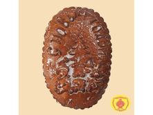 �������� � ���� (������� ��������� ������ � ������� ����) (1200 ��)	283 ���.