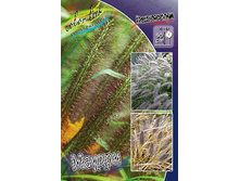 90,5���. ���������� ������(�������� ���� �� 1 ��., ����������� ����� 1��.).jpg