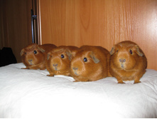 IMG 1167.JPG
