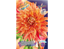 91,2���. �������� ������(�������� ���� �� 1 ��., ����������� ����� 1��.).jpg