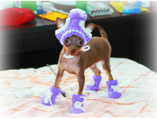 ���� ����� ����