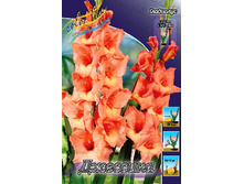 8,61���. ��������� ��������(���������� ������ ������ ���������� �� 7 ��.).jpg