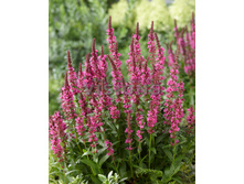 110,4���. ��������� ���������� ������(�������� ���� �� 1 ��., ����������� ����� 1��.)���16.jpg