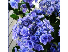 214���. ��������� �������������� � ��� �� �������.jpg