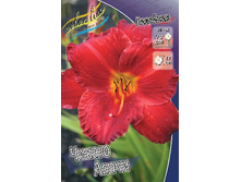 98,3���. �������� ������ �����(�������� ���� �� 2 ��., ����������� ����� 1��.).jpg