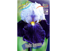 95,3���. ���� ���������� ���� �����(�������� ���� �� 2 ��., ����������� ����� 1��.).jpg