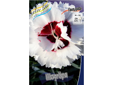 83,4���. �������� ������(�������� ���� �� 2 ��., ����������� ����� 1��.).jpg