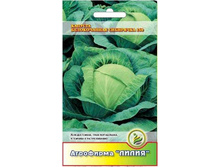 ������� ������������ ��������� 60 ������������ 	0,3	6,00 ���.