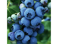 175���. �������� ���������� 71.jpg