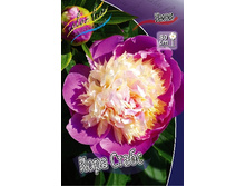 287,8���. ���� ���� �����(�������� ���� �� 1 ��., ����������� ����� 1��.).jpg