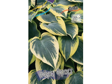 102,1���. ����� ���� �����(�������� ���� �� 1 ��., ����������� ����� 1��.).jpg