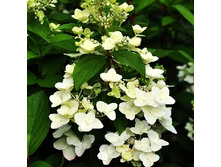 319���. ��������� ����������� ���� �����.jpg