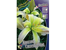 196,6���. �������� ������� ���������(�������� ���� �� 1 ��., ����������� ����� 1��.).jpg