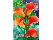 71,75���. ����� �����(�������� ���� �� 2 ��., ����������� ����� 1��.).jpg