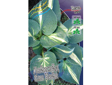 113,7���. ����� �������� ��� ����(�������� ���� �� 1 ��., ����������� ����� 1��.).jpg