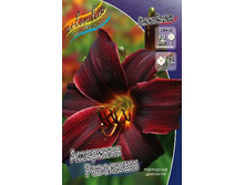 211,5���. �������� �������� ��������(�������� ���� �� 1 ��., ����������� ����� 1��.).jpg