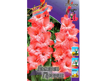 10,01���. ��������� ����� �����(���������� ������ ������ ���������� �� 8 ��.).jpg