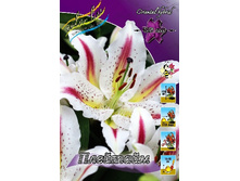 40,6���. ����� ��������(�������� ���� �� 5 ��., ����������� ����� 1��.).jpg