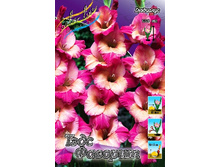 8,91���. ��������� ���� �������(���������� ������ ������ ���������� �� 8 ��.).jpg