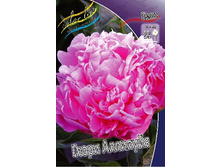 586,4���. ���� ����� ��������(�������� ���� �� 1 ��., ����������� ����� 1��.).jpg