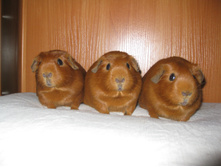 IMG 1165.JPG
