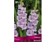 ��������� ���������.jpg