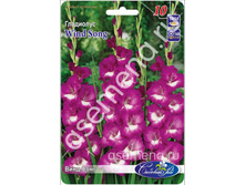 ���� ����.jpg