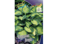 171,7���. ����� ������� ����(�������� ���� �� 1 ��., ����������� ����� 1��.).jpg