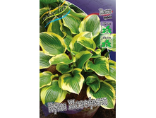 126,9���. ����� ���� ��������(�������� ���� �� 1 ��., ����������� ����� 1��.).jpg