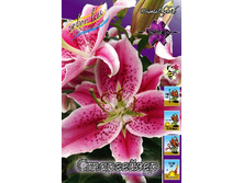 21,03���. ����� ����������(�������� ���� �� 7 ��., ����������� ����� 1��.).jpg