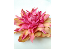 IMG 20151013 153518.jpg