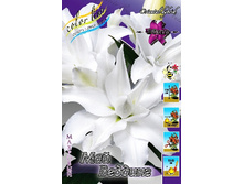 59���. ����� ��� �������(�������� ���� �� 5 ��., ����������� ����� 1��.).jpg