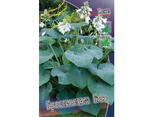 75,1���. ����� ����������� ���(�������� ���� �� 2 ��., ����������� ����� 1��.).jpg