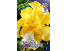 95,3���. ���� ���������� ������� �� ����(�������� ���� �� 2 ��., ����������� ����� 1��.).jpg