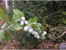 �������������