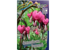 60,5���. �������� ����������� �������(�������� ���� �� 2 ��., ����������� ����� 1��.).jpg