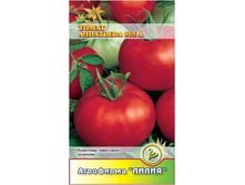 ����� ��������� 905 � �����������	0,1	6,00 ���.