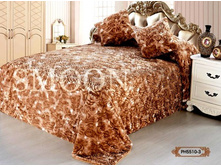 ���� ������, PH5510-03.jpg