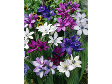 10,12���. ������� �������(���������� ������ ������ ���������� �� 10 ��.).jpg