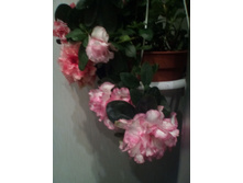 IMG 20151002 130131.jpg