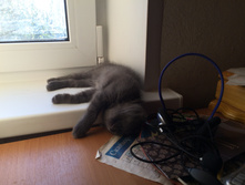 2015-09-20 15.38.15.jpg