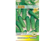 ������ ���� F1 	8	15,00 ���.