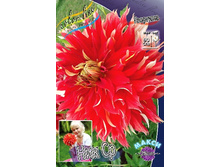 84,8���. �������� ��� ��(�������� ���� �� 1 ��., ����������� ����� 1��.)���14.jpg