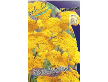 72,2���. ������������� ��������� ����(�������� ���� �� 1 ��., ����������� ����� 1��.).jpg