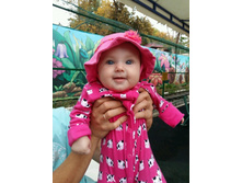 ������ ����)