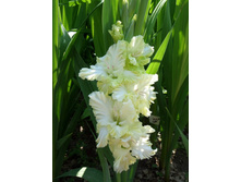 05 �������� ���������.jpg